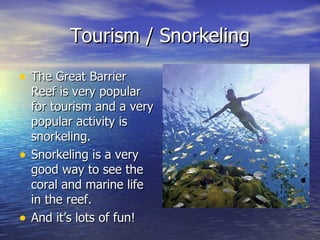 Tourism / Snorkeling <ul><li>The Great Barrier Reef is very popular for tourism and a very popular activity is snorkeling....