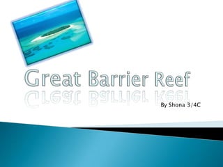  Great Barrier Reef By Shona 3/4C 