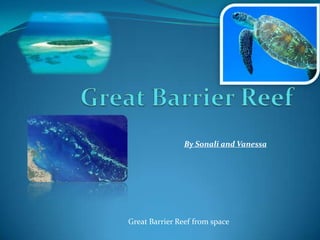 Great Barrier Reef By Sonali and Vanessa Great Barrier Reef from space 