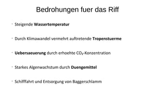 Bedrohungen fuer das Riff
•
Steigende Wassertemperatur
•
Durch Klimawandel vermehrt auftretende Tropenstuerme
•
Uebersaeuerung durch erhoehte CO₂-Konzentration
•
Starkes Algenwachstum durch Duengemittel
•
Schifffahrt und Entsorgung von Baggerschlamm
 