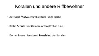 Korallen und andere Riffbewohner
•
Aufzucht-/Aufwuchsgebiet fuer junge Fische
•
Bietet Schutz fuer kleinere Arten (Krebse o.ae.)
•
Dornenkrone (Seestern): Fressfeind der Korallen
 