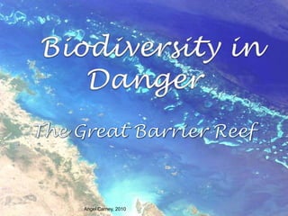 Biodiversity in Danger The GreatBarrierReef Angel Carney, 2010 