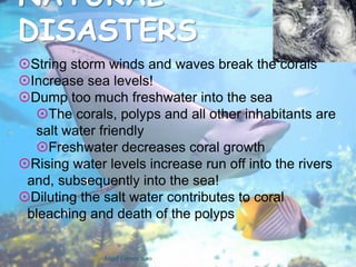 Named one of the seven wonders of the world!