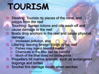 Estimated to be 500,000Years old