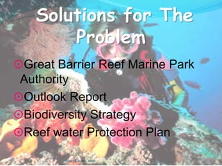 It is the largest reef system in the world!