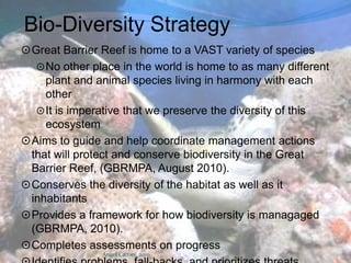 Can be seen from space!Angel Carney, 2010