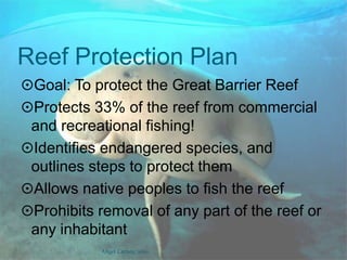 It is estimated that by the year 2100, the world will have only 30% of it’s coral reefs