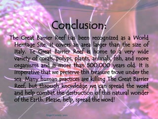 The Great Barrier Marine Park Authority has introduced several plans to help stop this