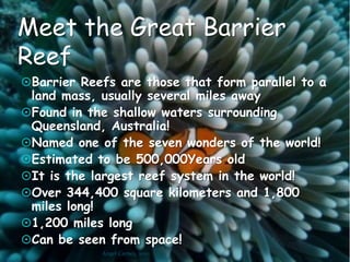 Corals are soft, stationary animals without a backbone!