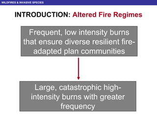 WILDFIRES & INVASIVE SPECIES | PPT