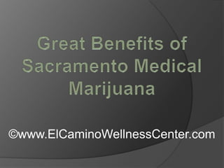 Great Benefits of Sacramento Medical Marijuana ©www.ElCaminoWellnessCenter.com 
