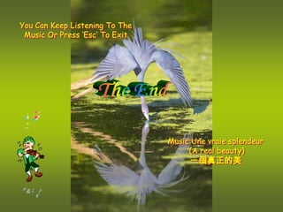 You Can Keep Listening To The
 Music Or Press ‘Esc’ To Exit




                                Music:Une vraie splendeur
                                     (A real beauty)
                                     一個真正的美
 