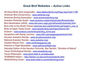 Great Bird Websites – Active Links

All About Birds (bird songs/calls) - www.allaboutbirds.org/Page.aspx?pid=1189
American Bird Conservancy - www.abcbirds.org/
American Birding Association - www.americanbirding.org/
Audubon Pesticide Guide - www.audubon.org/bird/pesticides/#Insecticides
Bird Identification USGS - www.mbr-pwrc.usgs.gov/id/framlst/infocenter.html
Bird Links to the World (Texas) www.bsc-eoc.org/links/links.jsp?page=l_usa_tx
Birds of Upper Texas Coast - www.texasbirding.net/maps/wharris.htm
Enature – www.enature.com/birding/birding_home.asp
Gardenline with Randy Lemmon - www.ktrh.com/pages/gardenline2.html
Houston Audubon Society - www.houstonaudubon.org/
National Audubon Society - www.audubon.org/
Outdoor Nature Club - www.ornithologygroup.org
Partners in Flight Newsletter - www.partnersinflight.org/
Saturday Edition of the Houston Chronicle, Star Section, “Wonders of Nature”
Texas Ornithological Society - www.texasbirds.org/
Texas Wildscapes - www.tpwd.state.tx.us/wildscapes
TEXBIRDS listserv – http://listserv.uh.edu/archives/texbirds.html
World Birding Center - www.tpwd.state.tx.us/worldbirdingcenter/
 