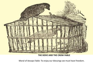 THE DOVE AND THE CROW FABLE
Moral of Aesops Fable: To enjoy our blessings we must have freedom.
 