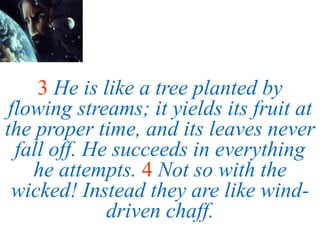 3 He is like a tree planted by
flowing streams; it yields its fruit at
the proper time, and its leaves never
fall off. He succeeds in everything
he attempts. 4 Not so with the
wicked! Instead they are like wind-
driven chaff.
 