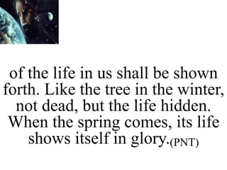 of the life in us shall be shown
forth. Like the tree in the winter,
not dead, but the life hidden.
When the spring comes, its life
shows itself in glory.(PNT)
 