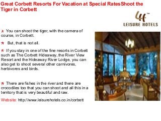 Great Corbett Resorts For Vacation at Special RatesShoot the
Tiger in Corbett

You can shoot the tiger, with the camera of
course, in Corbett.
But, that is not all.
If you stay in one of the fine resorts in Corbett
such as The Corbett Hideaway, the River View
Resort and the Hideaway River Lodge, you can
also get to shoot several other carnivores,
herbivores and birds.

There are fishes in the river and there are
crocodiles too that you can shoot and all this in a
territory that is very beautiful and raw.
Website: http://www.leisurehotels.co.in/corbett

 