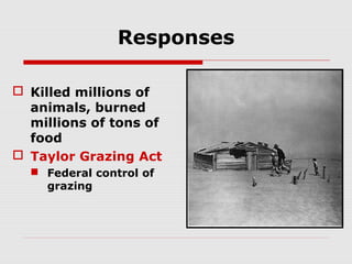 Responses
 Killed millions of
animals, burned
millions of tons of
food
 Taylor Grazing Act
 Federal control of
grazing

 