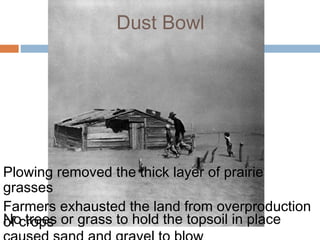 No trees or grass to hold the topsoil in place
Plowing removed the thick layer of prairie
grasses
Farmers exhausted the land from overproduction
of crops
Dust Bowl
 
