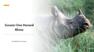 Greater One Horned
Rhino
By Siddhartha K. Goswami
 