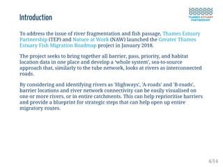 Introduction
To address the issue of river fragmentation and fish passage, Thames Estuary
Partnership (TEP) and Nature at Work (NAW) launched the Greater Thames
Estuary Fish Migration Roadmap project in January 2018.
The project seeks to bring together all barrier, pass, priority, and habitat
location data in one place and develop a ‘whole system’, sea-to-source
approach that, similarly to the tube network, looks at rivers as interconnected
roads.
By considering and identifying rivers as 'Highways', 'A-roads' and 'B-roads',
barrier locations and river network connectivity can be easily visualised on
one or more rivers, or in entire catchments. This can help reprioritise barriers
and provide a blueprint for strategic steps that can help open up entire
migratory routes.
4/14
 