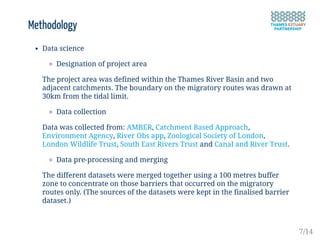Methodology
Data science
Designation of project area
The project area was defined within the Thames River Basin and two
adjacent catchments. The boundary on the migratory routes was drawn at
30km from the tidal limit.
Data collection
Data was collected from: AMBER, Catchment Based Approach,
Environment Agency, River Obs app, Zoological Society of London,
London Wildlife Trust, South East Rivers Trust and Canal and River Trust.
Data pre-processing and merging
The different datasets were merged together using a 100 metres buffer
zone to concentrate on those barriers that occurred on the migratory
routes only. (The sources of the datasets were kept in the finalised barrier
dataset.)
7/14
 