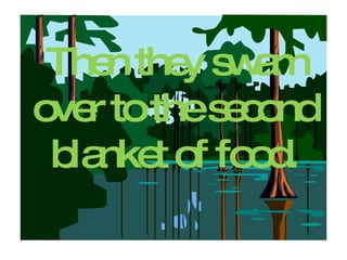 Then they swam over to the second blanket of food. 