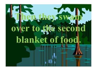 Then they swam over to the second blanket of food. 