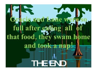 Gracie and Lane were so full after eating  all  of  that food, they swam home and took a nap! THE END 