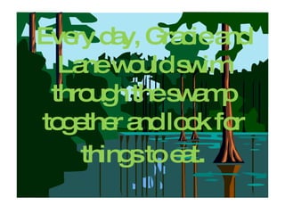 Every day, Gracie and Lane would swim through the swamp together and look for things to eat . 