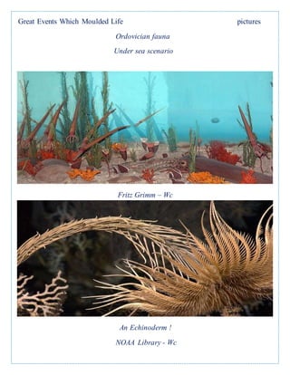 Great Events Which Moulded Life pictures
Ordovician fauna
Under sea scenario
Fritz Grimm – Wc
An Echinoderm !
NOAA Library - Wc
 