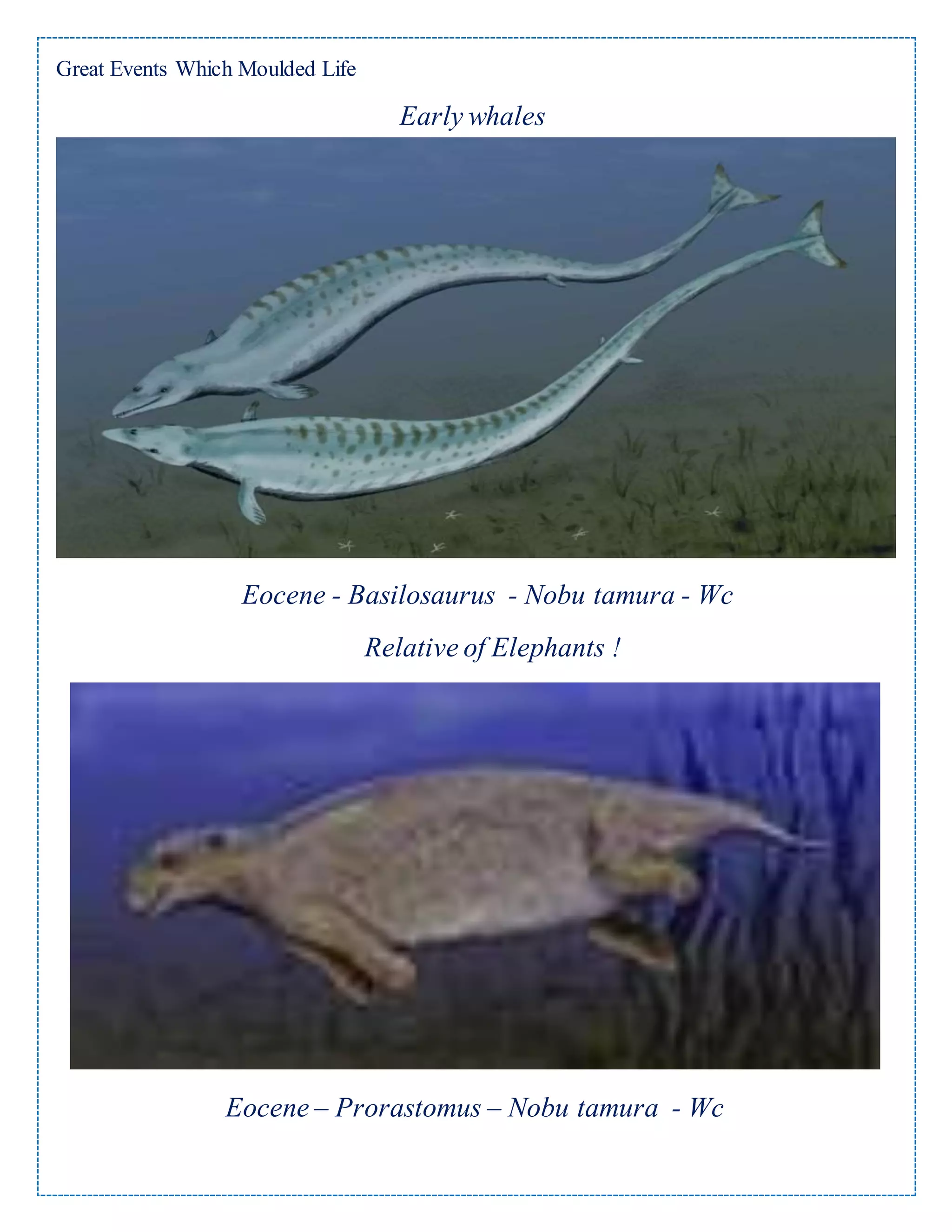 Poleogen Great events which moulded life tertiary period paleogene -pictures ...