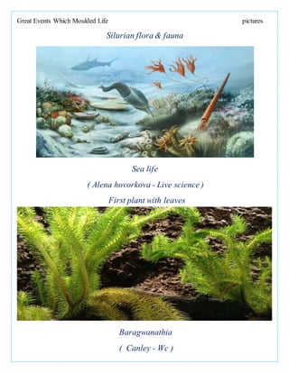 Great Events Which Moulded Life pictures
Silurian flora & fauna
Sea life
( Alena hovorkova - Live science )
First plant with leaves
Baragwanathia
( Canley - Wc )
 