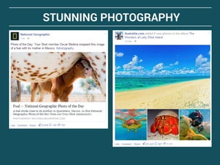 STUNNING PHOTOGRAPHY
 
