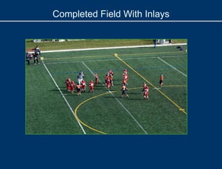 Completed Field With Inlays
 