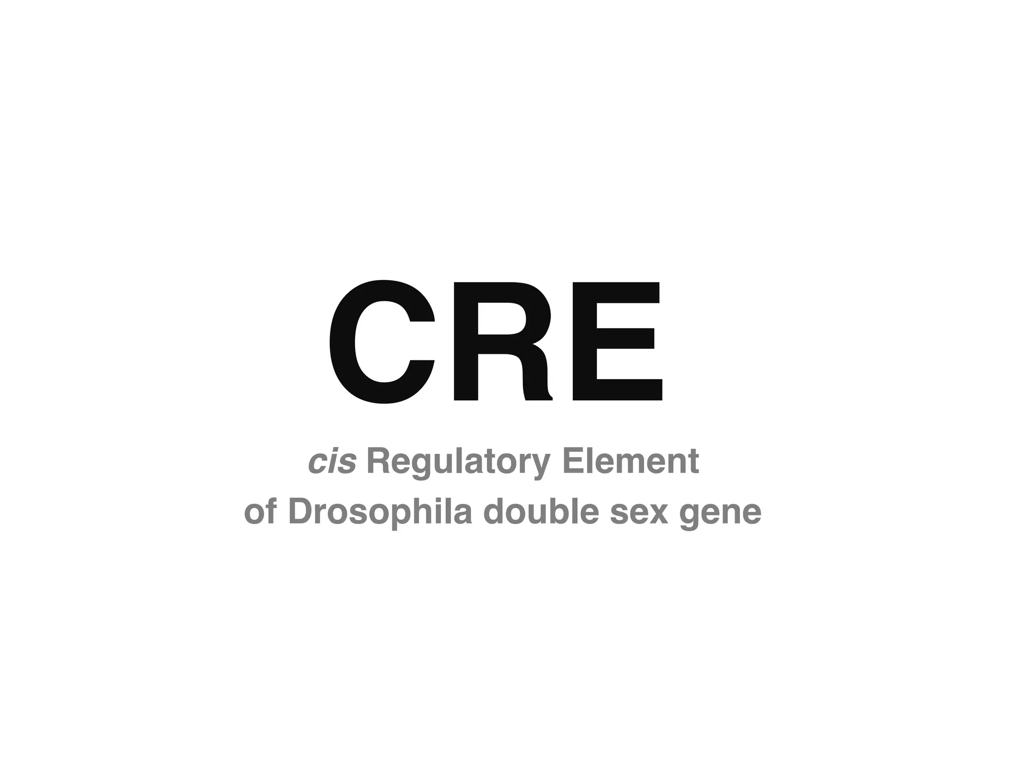 CRE"
    cis Regulatory Element  
of Drosophila double sex gene"
 