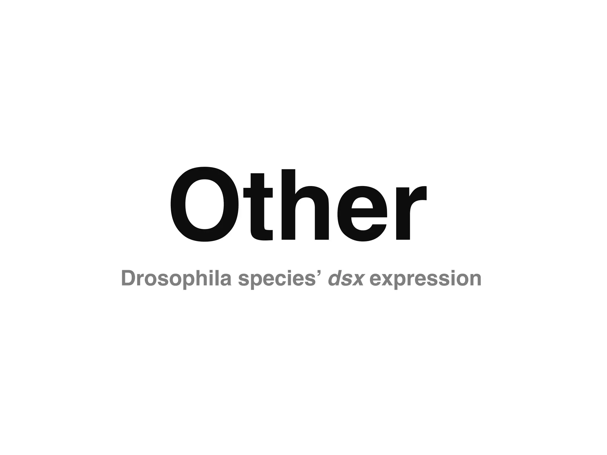 Other"
Drosophila species’ dsx expression"
 