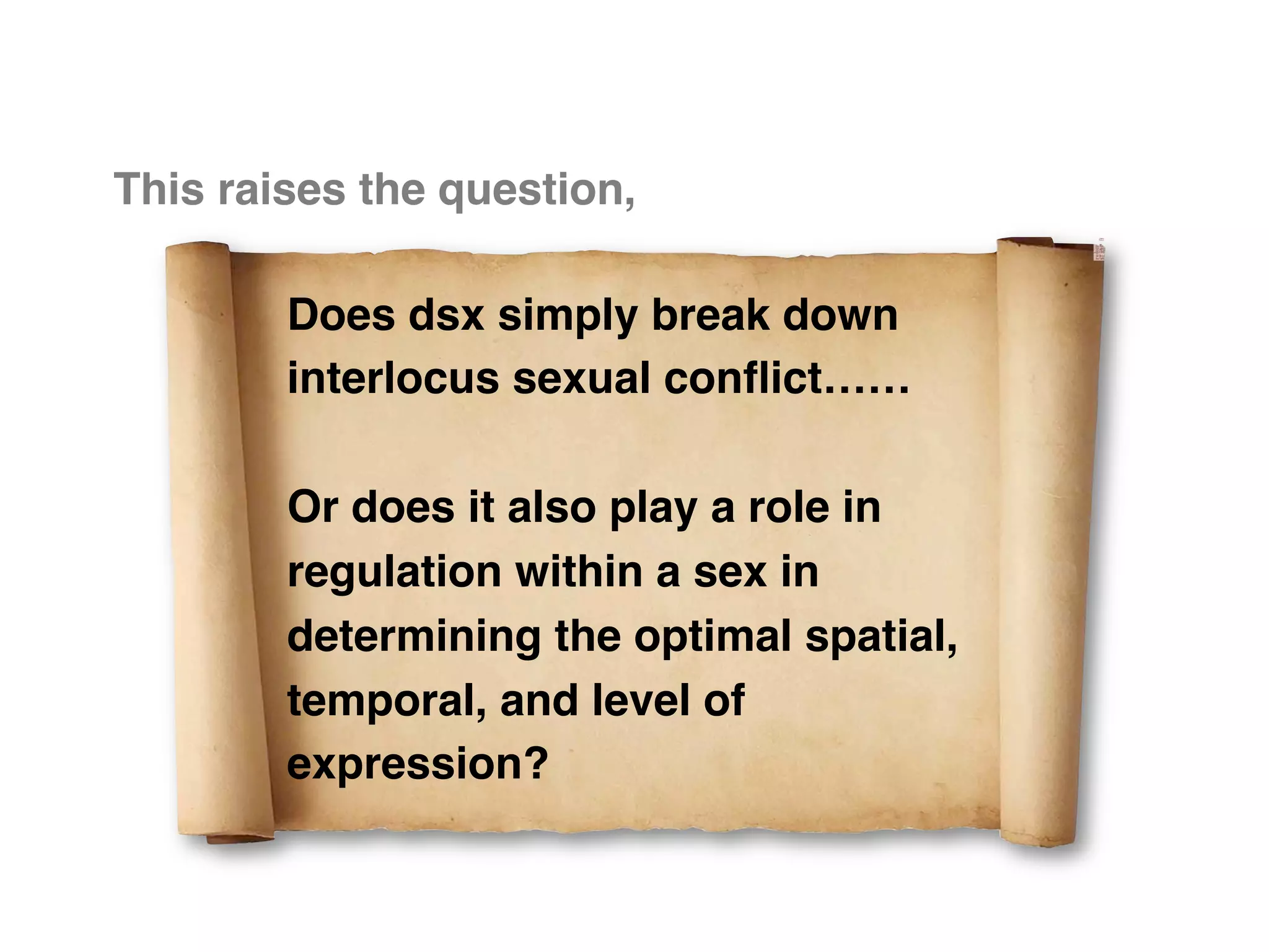 This raises the question,"

        Does dsx simply break down
        interlocus sexual conﬂict……"
        "
        Or does it also play a role in
        regulation within a sex in
        determining the optimal spatial,
        temporal, and level of
        expression?"
 