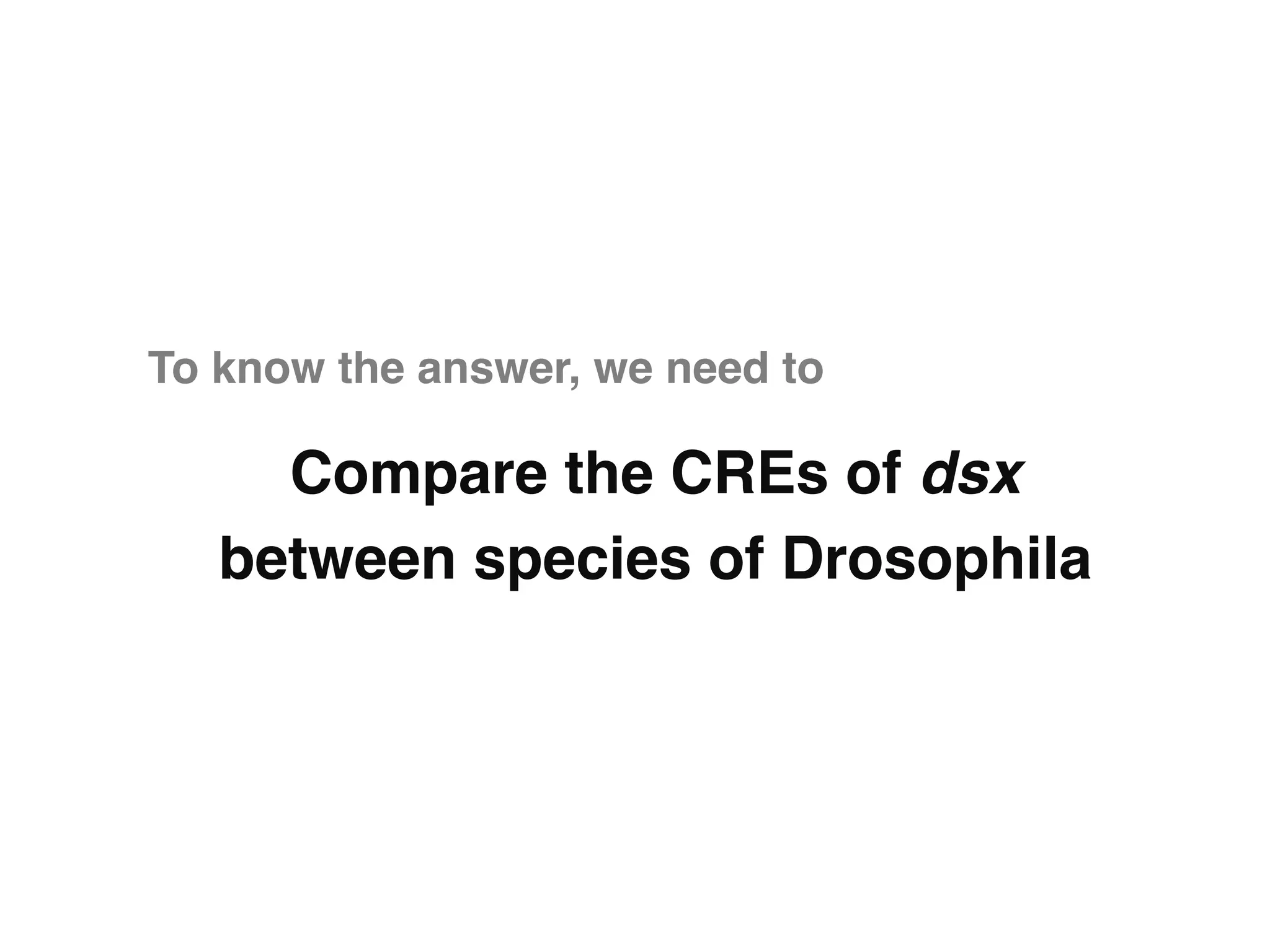 To know the answer, we need to"

     Compare the CREs of dsx
   between species of Drosophila"
 