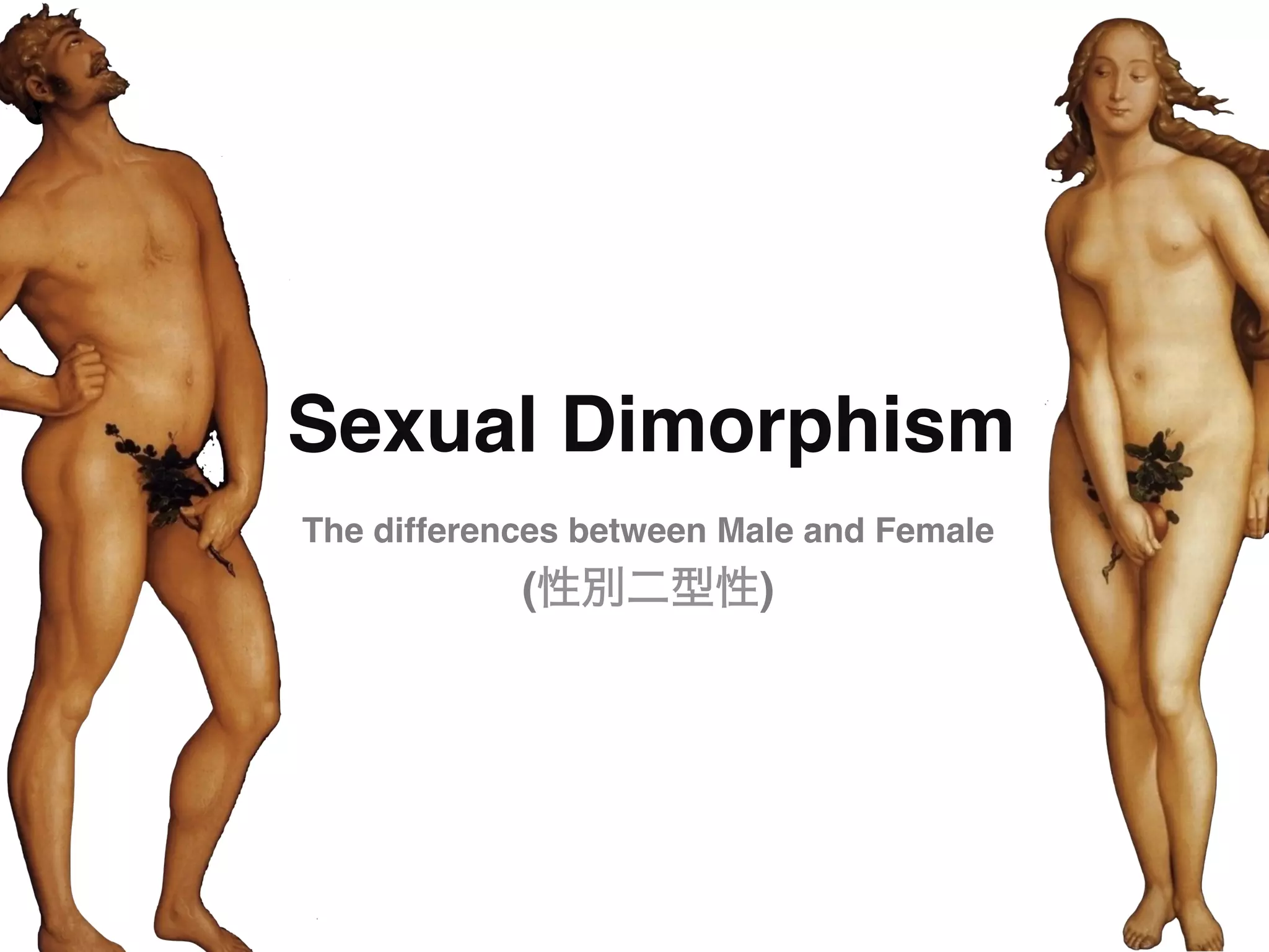 Sexual Dimorphism"
The differences between Male and Female 
            (性別二型性)"
 