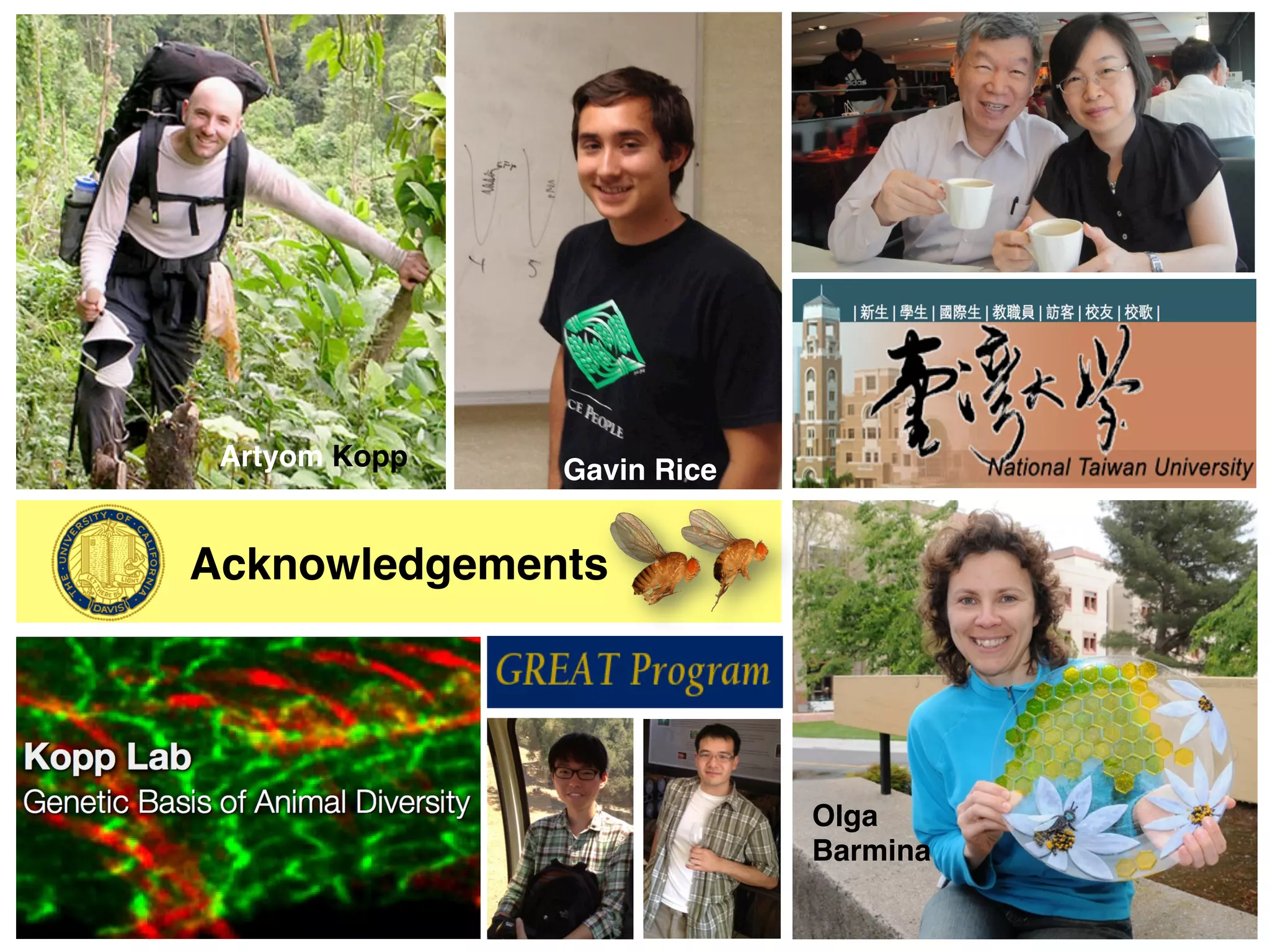 Artyom Kopp"   Gavin Rice"


Acknowledgements"




                              Olga  
                              Barmina"
 