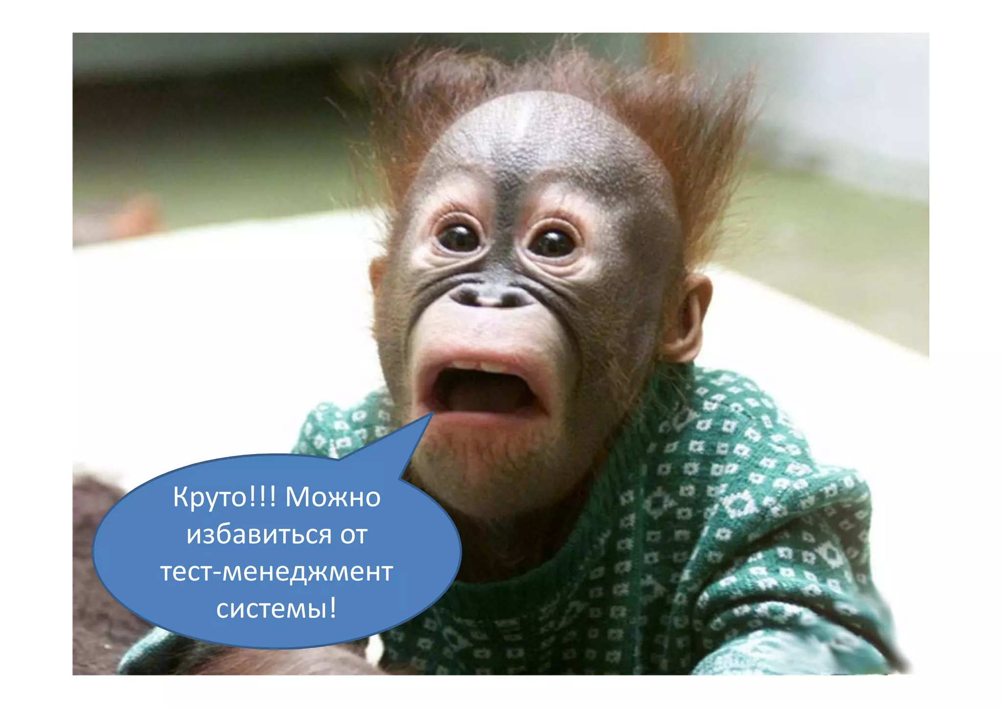 Круто!!! Можно
  избавиться от
тест-менеджмент
    системы!
 