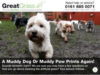 Find Out How Great Grass Creating Thousands of Happy Pets & Pet Owners