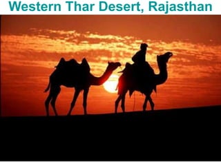 Western Thar Desert, Rajasthan
 