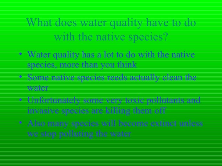 the great lakes water quality square root of 72 in radical form