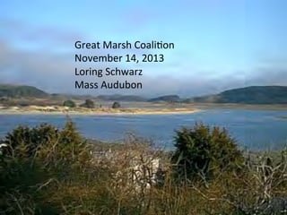 Great	
  Marsh	
  Coali.on	
  
November	
  14,	
  2013	
  
Loring	
  Schwarz	
  
Mass	
  Audubon	
  

 