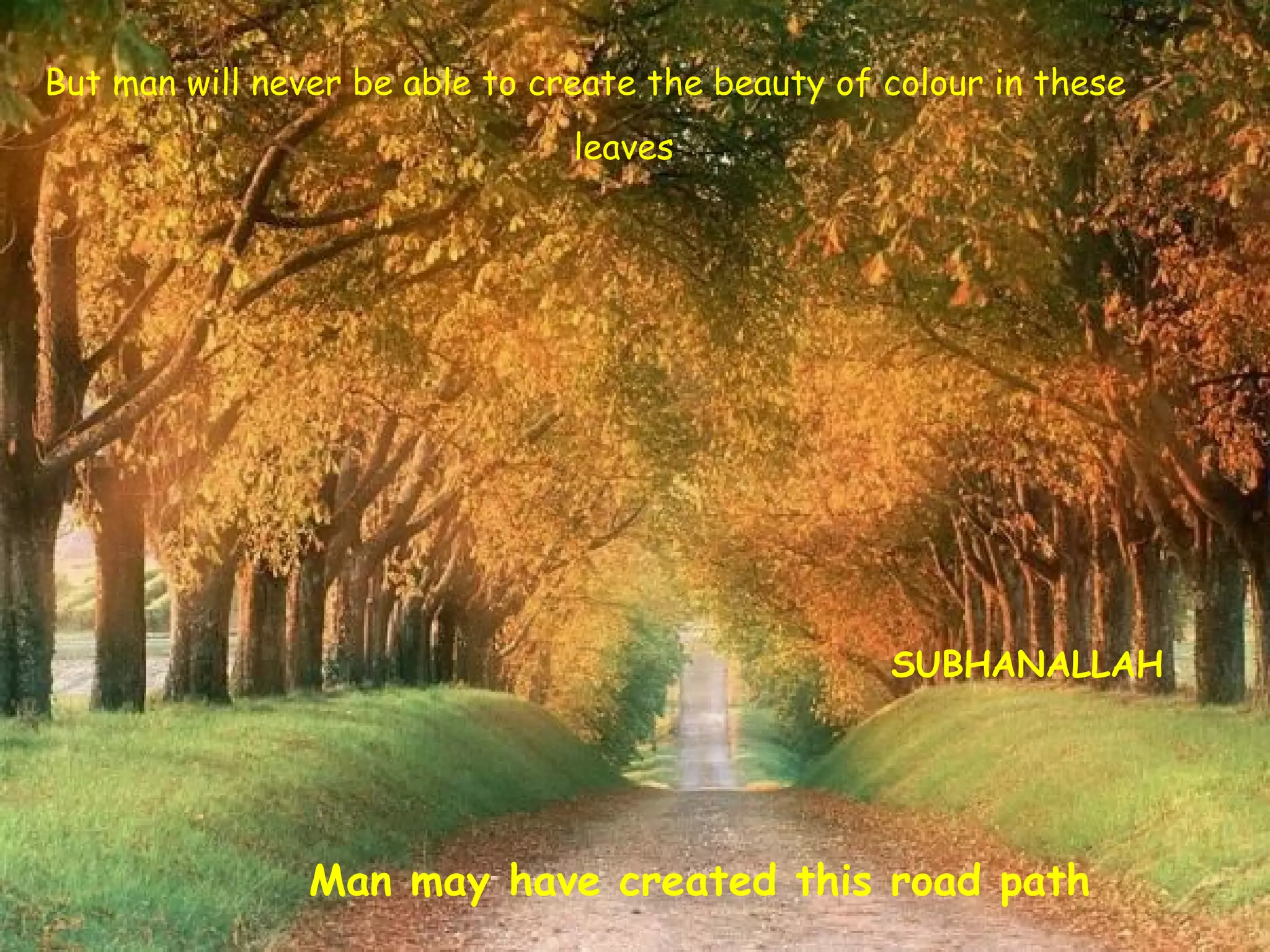 Greatness Of Allah S.W.T | PPS | Islam | Religion & Spirituality