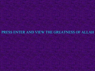 PRESS ENTER AND VIEW THE GREATNESS OF ALLAH 