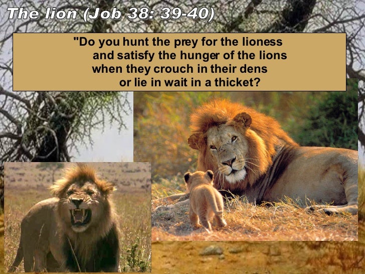 Greatnets Of God 1 Eng greatnets-of-god-1-eng