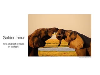 Golden hour
Source: photographycorner.com
A period shortly after
sunrise or before
sunset during which
daylight is redder and
softer than when the
Sun is higher in the
sky.
 